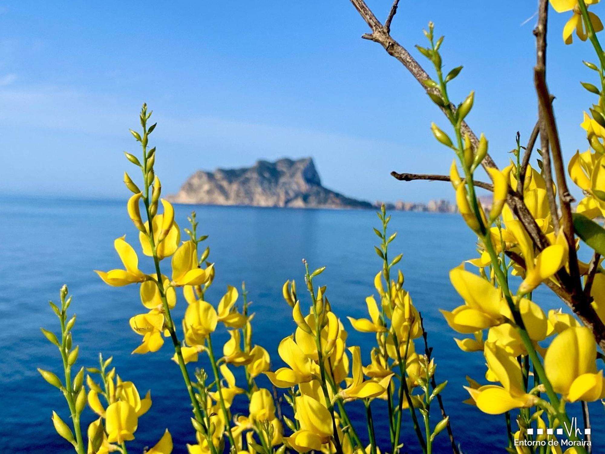 カルプ Vh Costablanca - Evaヴィラ エクステリア 写真